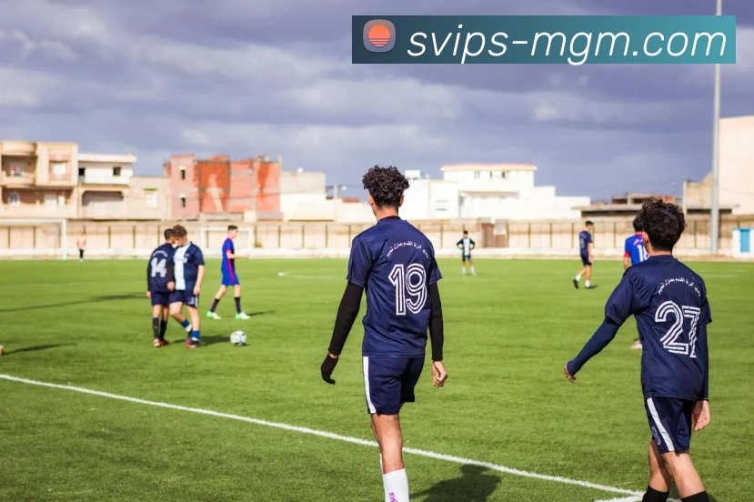 美高梅MGM官网APP 封面图