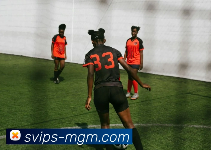 数据防护可视化